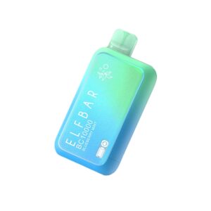 ELF BAR BC10000 Disposable 10 000 zaciągnięć Blueberry Mint